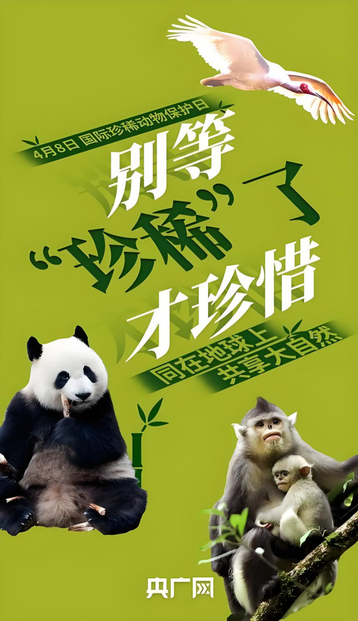 淄博网站推广